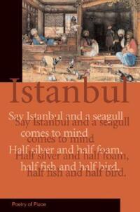 Book Cover for Istanbul by Ate­s Orga