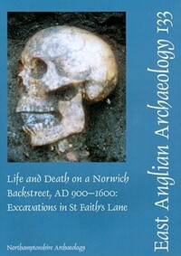 Book Cover for Life and Death on a Norwich Backstreet, AD 900-1600 by Iain Soden