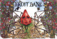 Book Cover for Fruit Lane by Pauline Mackay, Shelley Buckner