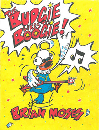 Book Cover for The Budgie Likes to Boogie! by Brian Moses, Chris White