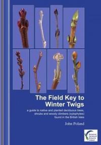 Book Cover for Field Key to Winter Twigs by John Poland, Botanical Society of Britain  Ireland