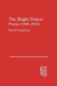 Book Cover for The Bright Tethers by David Cameron
