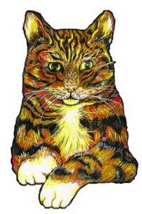 Book Cover for Surtsey the Cat by Hilary Roper