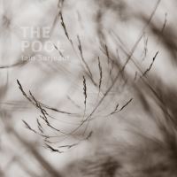 Book Cover for The Pool by Iain Sarjeant