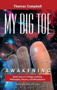 Book Cover for My Big TOE - Awakening H by Thomas Campbell
