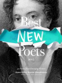 Book Cover for Best New Poets 2013 by Brenda Shaughnessy