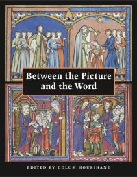Book Cover for Between the Picture and the Word by Colum Hourihane, John Plummer