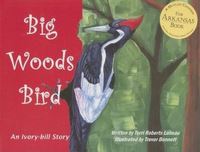Book Cover for Big Woods Bird by Terri Roberts Luneau