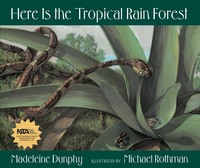 Book Cover for Here Is the Tropical Rain Forest by Madeleine Dunphy, Michael Rothman