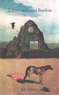 Book Cover for Letters to Emma Bowlcut by Bill Callahan