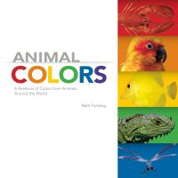Book Cover for Animal Colors by Beth Fielding