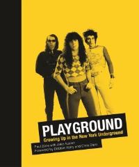 Book Cover for Playground by Jake Austen