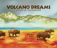 Book Cover for Volcano Dreams by Janet S Fox