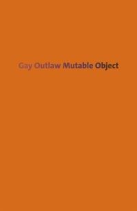 Book Cover for Gay Outlaw by Gay Outlaw