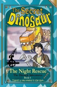 Book Cover for The Night Rescue by N S Blackman