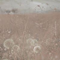 Book Cover for Fragile by Valda Bailey