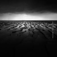Book Cover for Mud Sand by James Osmond