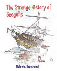 Book Cover for The Strange History of Seagulls by Maldwin Drummond