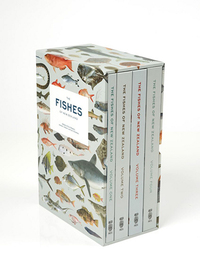Book Cover for The Fishes of New Zealand by Museum of New Zealand