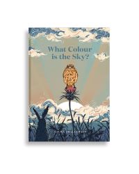 Book Cover for What Colour Is the Sky? by Laura Shallcrass