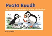 Book Cover for Peata Ruadh by Fiona Hulbert