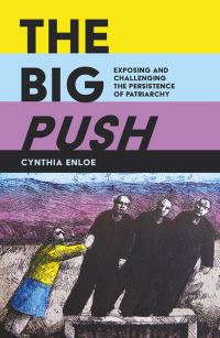 Book Cover for The Big Push by Cynthia H Enloe