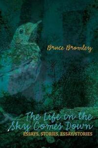 Book Cover for The Life in the Sky Comes Down by Bruce D Bromley