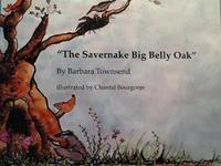 Book Cover for The Savernake Big Belly Oak by Barbara Townsend
