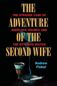 Book Cover for The Adventure of the Second Wife by Andrew Finkel