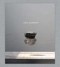 Book Cover for Don Gummer by Peter Plagens, Linda WolkSimon