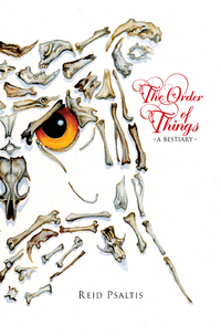 Book Cover for The Order of Things by Reid Psaltis