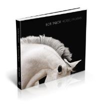 Book Cover for Horse/human by Bob Tabor