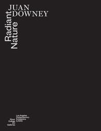 Book Cover for Juan Downey by Bill Anthes, Ciara Ennis, Julieta González