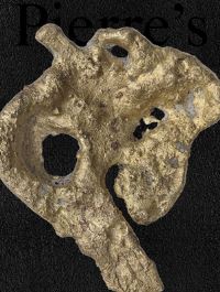 Book Cover for Pierre's: Issue No.1 by Pierre Huyghe, Jenny Jaskey, Pierre Huyghe, Stephen Blackwell, Ali Brivanlou, Etienne Chambaud, Ian Cheng, Melissa Dubbin, Aaron S Davidson