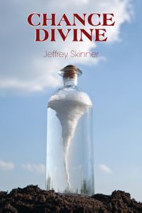 Book Cover for Chance Divine by Jeffrey Skinner