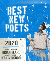Book Cover for Best New Poets 2020 by Brian Teare
