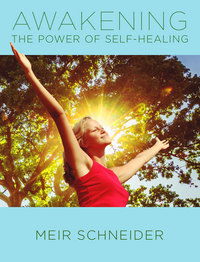 Book Cover for Awakening the Power of Self-Healing by Meir Schneider
