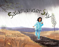 Book Cover for Salamander Sky by Katy Farber