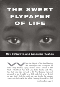 Book Cover for The Sweet Flypaper of Life by Langston Hughes