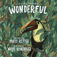 Book Cover for Something Wonderful by Matt Ritter