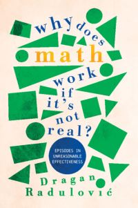 Book Cover for Why Does Math Work...if It's Not Real? by Dragan RaduloviÔc
