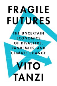 Book Cover for Fragile Futures by Vito Tanzi
