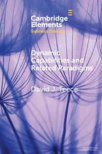 Book Cover for Dynamic Capabilities and Related Paradigms by David J Teece