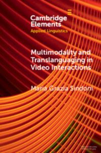 Book Cover for Multimodality and Translanguaging in Video Interactions by Maria Grazia Sindoni
