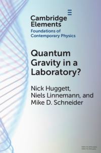 Book Cover for Quantum Gravity in a Laboratory? by Nick Huggett, Niels Linnemann, Mike D Schneider