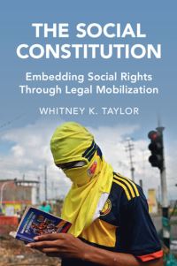 Book Cover for The Social Constitution by Whitney Katherine Taylor