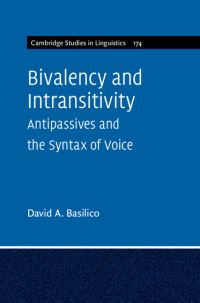 Book Cover for Bivalency and Intransitivity by David A Basilico