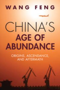 Book Cover for China's Age of Abundance by Wang Feng