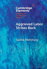 Book Cover for Aggrieved Labor Strikes Back by Saliha Metinsoy