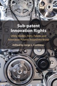 Book Cover for Sub-Patent Innovation Rights by Jorge L Contreras